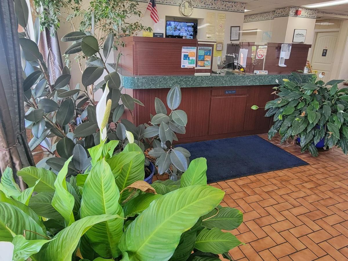 דקאטור Studio 9 Inn & Suites מראה חיצוני תמונה